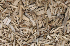 biomass boilers Risabus